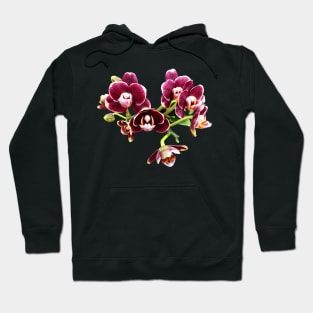 Phalaenopsis Lioulin Sparrow Hoodie